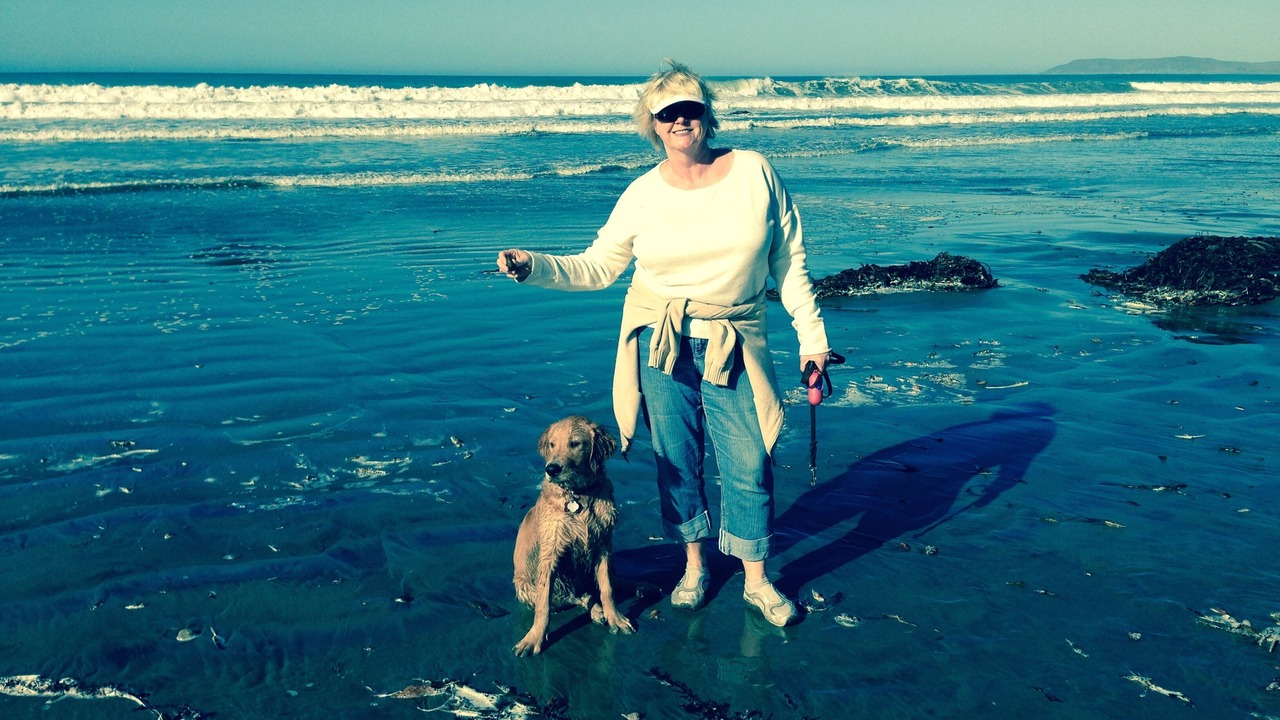 Photo of Others in Cayucos