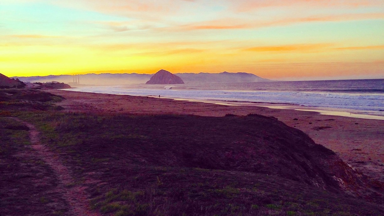 Photo of Others in Cayucos
