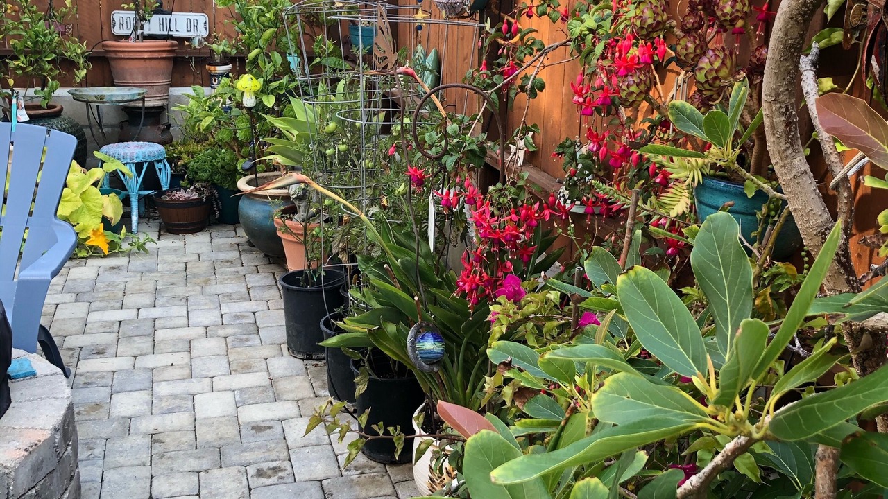 Photo of Outdoor in Cayucos