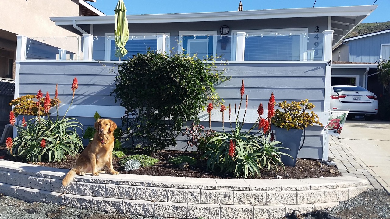 Photo of Others in Cayucos
