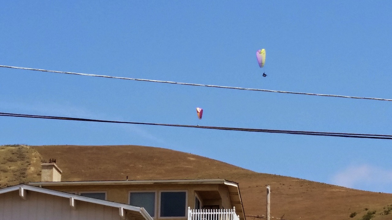 Photo of Others in Cayucos