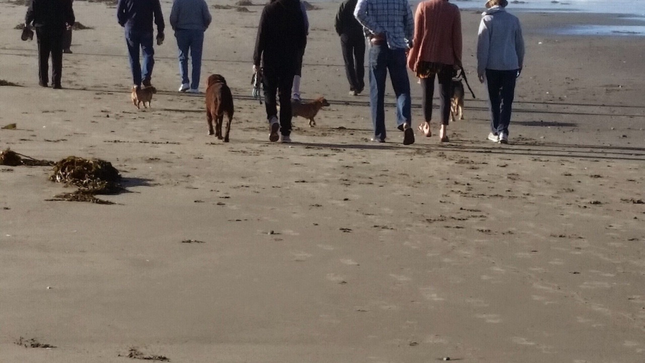 Photo of Others in Cayucos