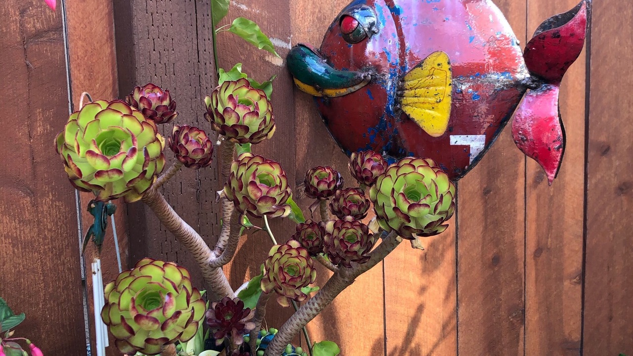 Photo of Outdoor in Cayucos