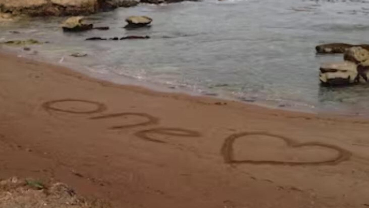 Photo of Others in Shell Beach
