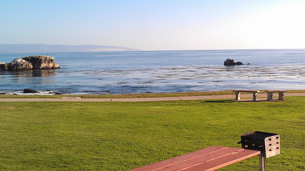 Photo of Others in Shell Beach
