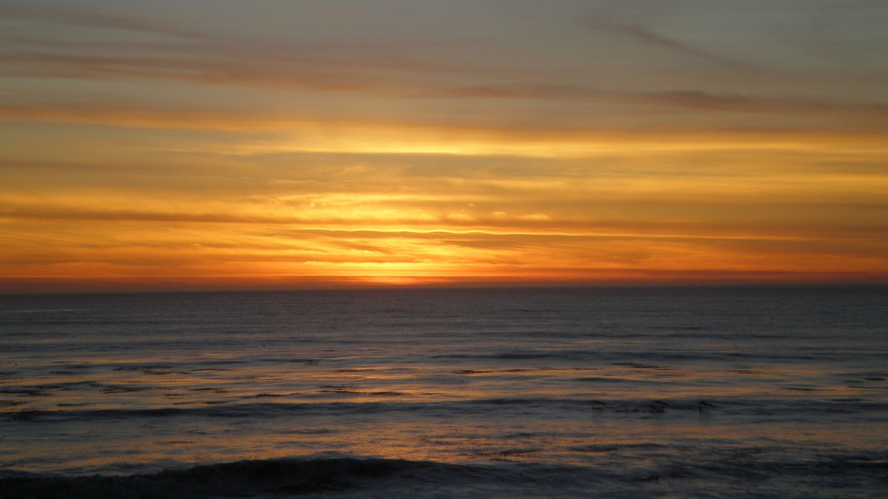 Photo of Others in Shell Beach