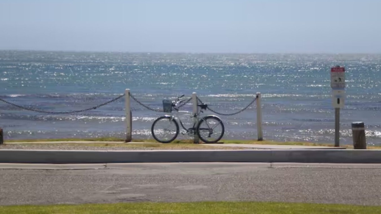 Photo of Others in Shell Beach
