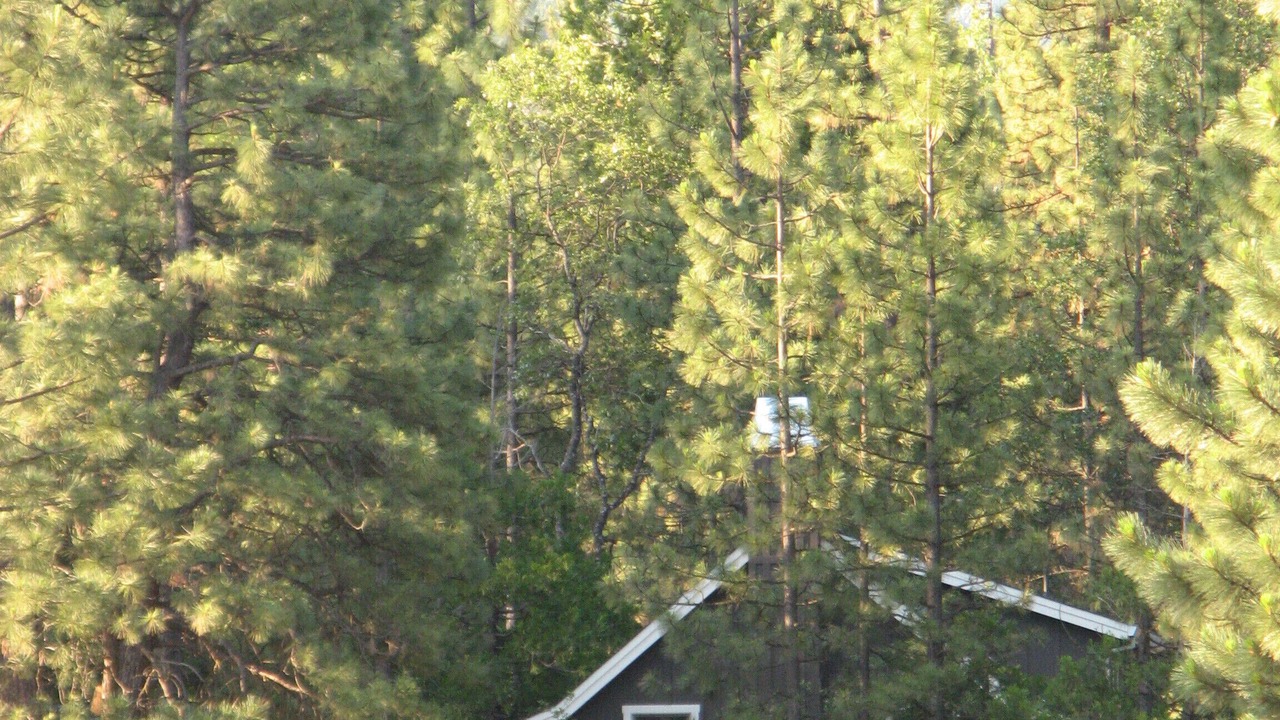 Photo of Others in Burney