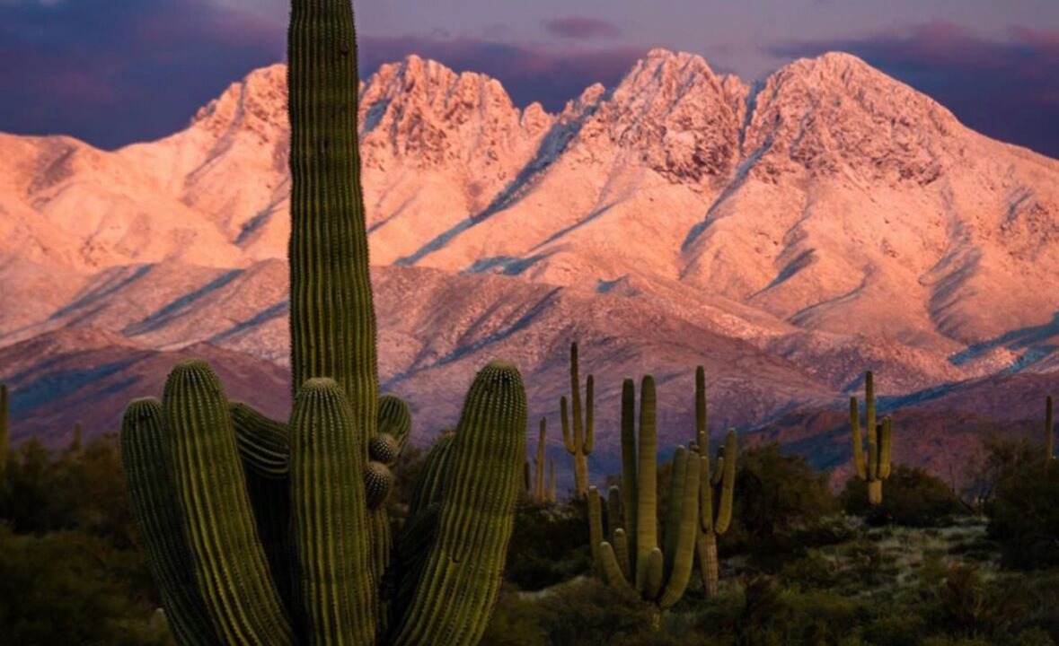 Photo of Others in Fountain Hills