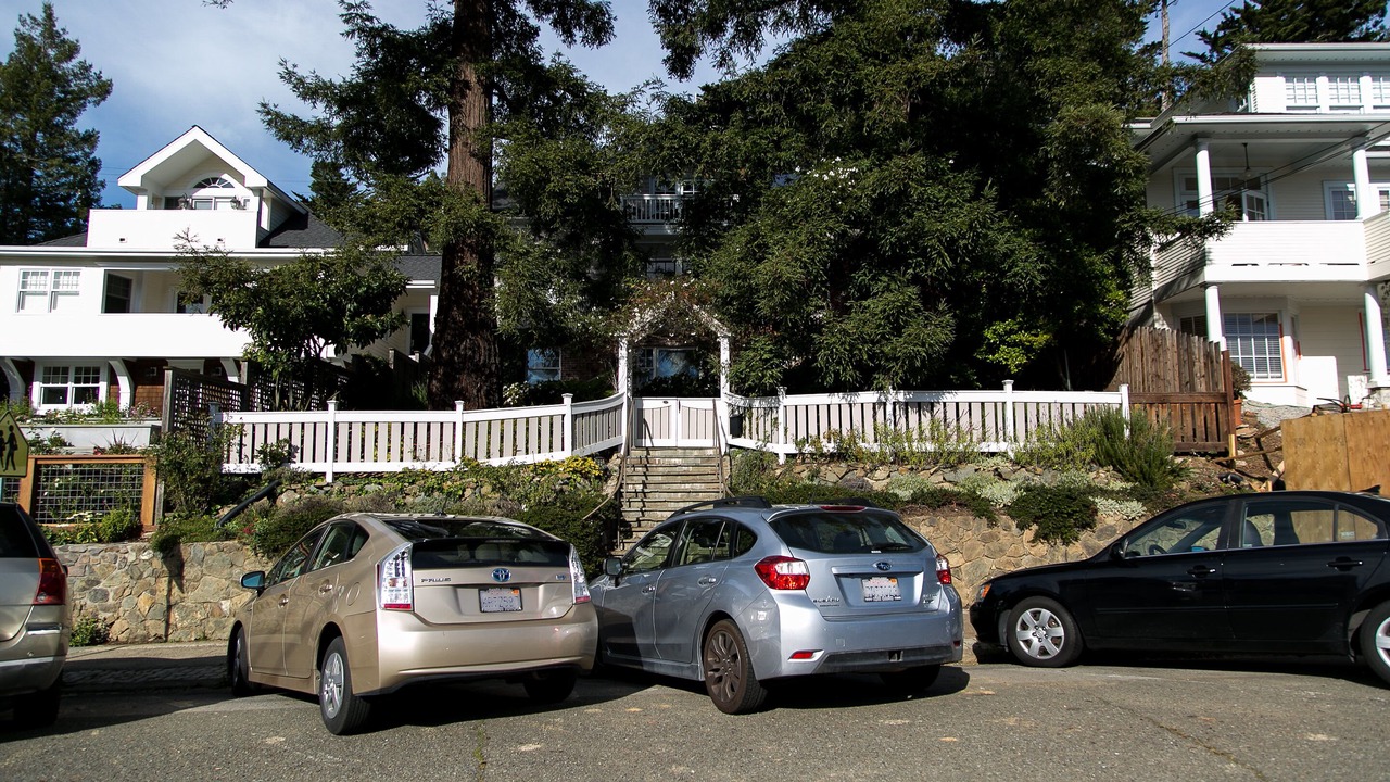 Photo of Others in Mill Valley