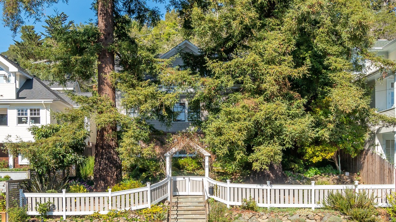 Photo of Outdoor in Mill Valley