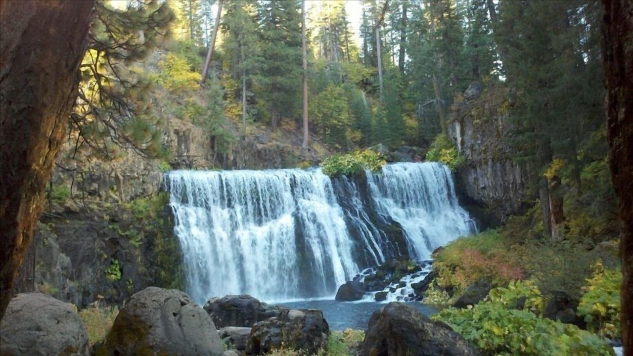 Photo of Outdoor in McCloud