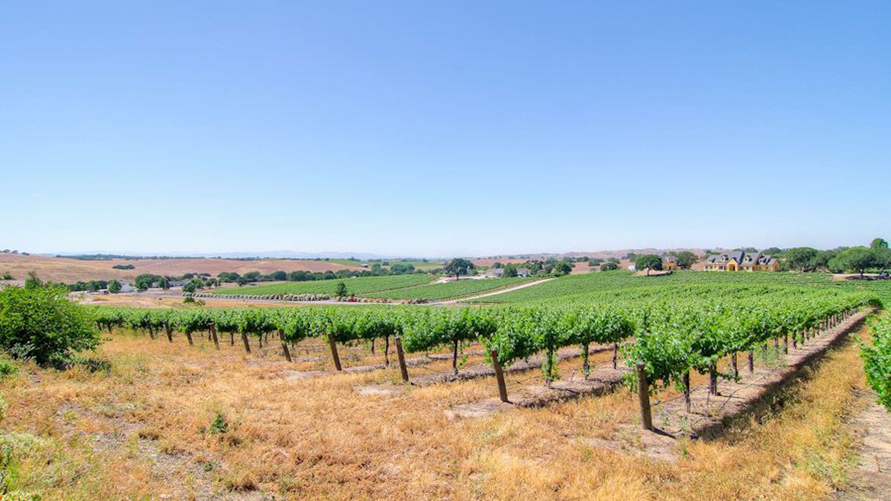 Photo of Others in Paso Robles