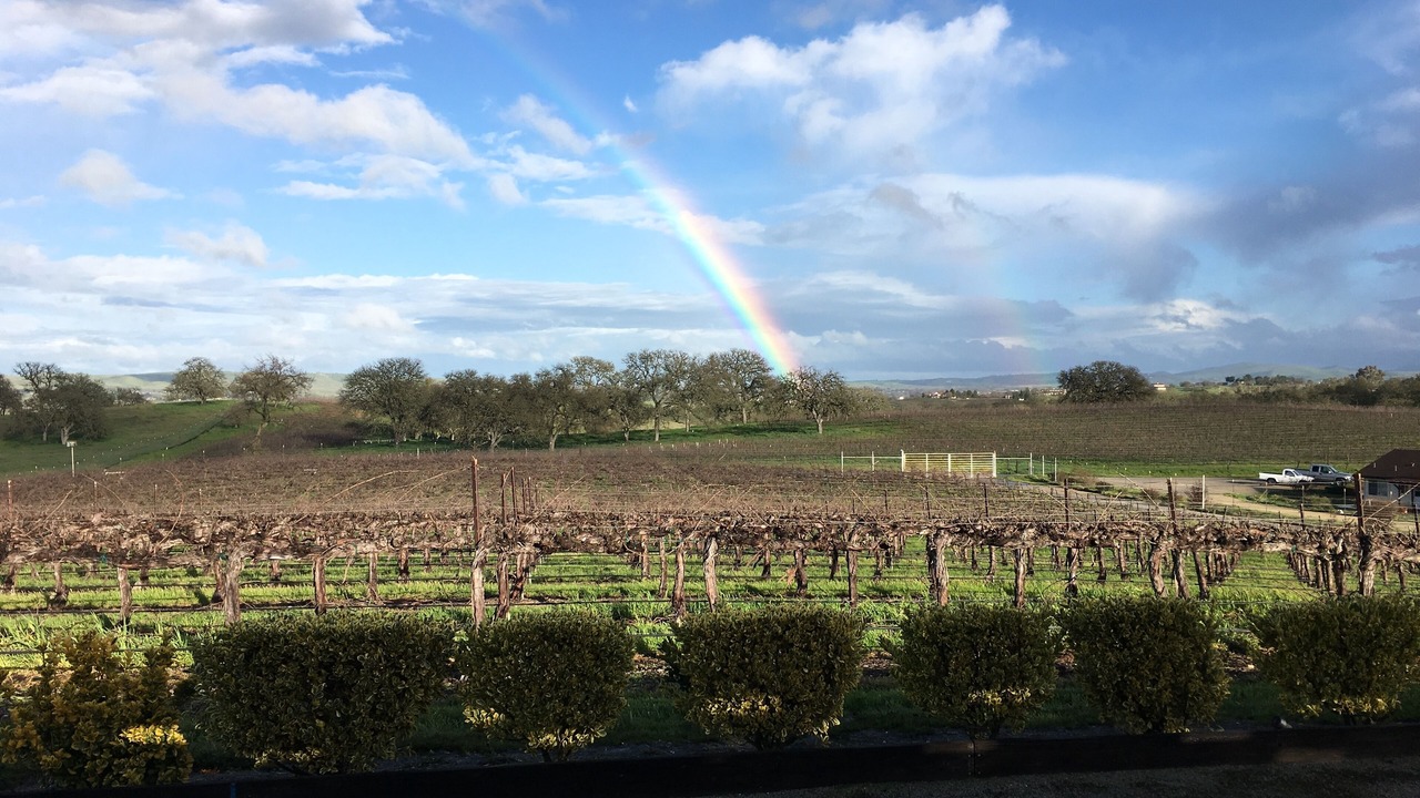 Photo of Others in Paso Robles