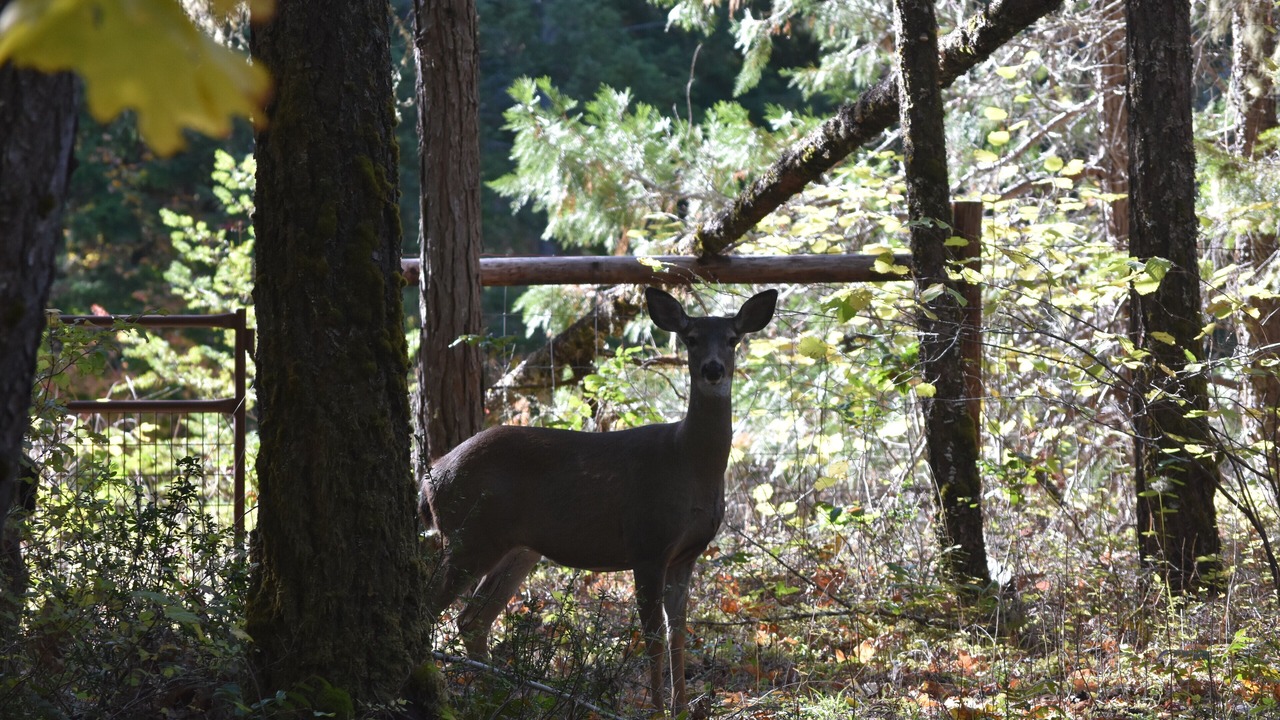 Photo of Outdoor in Douglas County