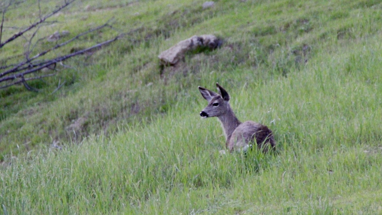 Photo of Others in Oak Shores