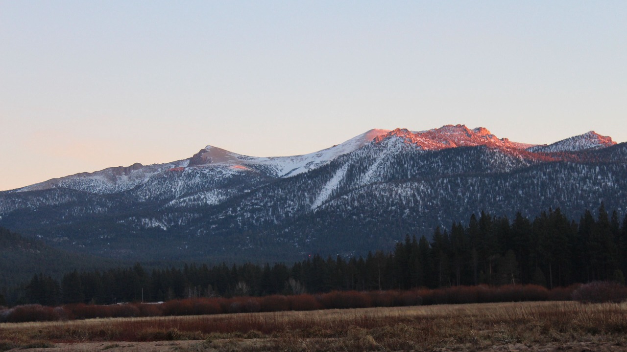 Photo of Others in Al Tahoe
