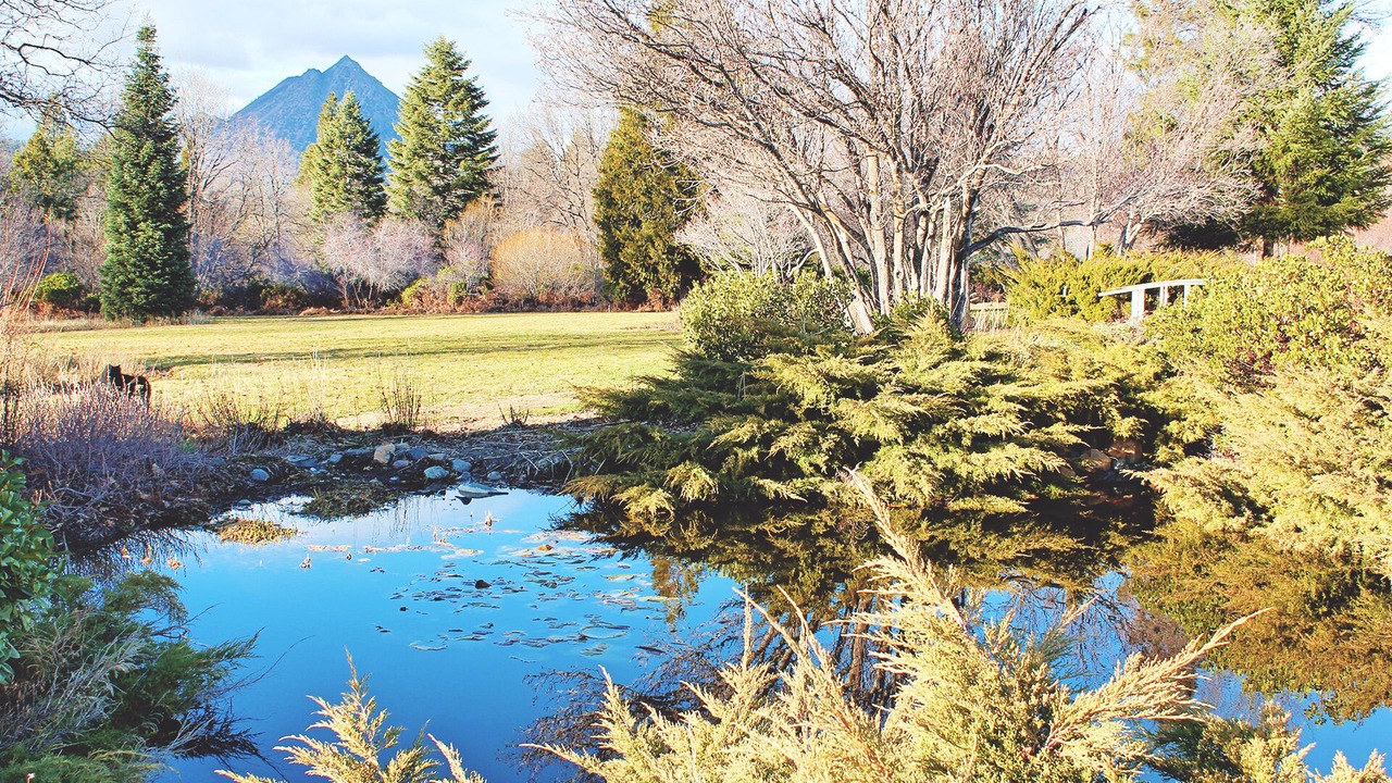 Photo of Others in Mount Shasta