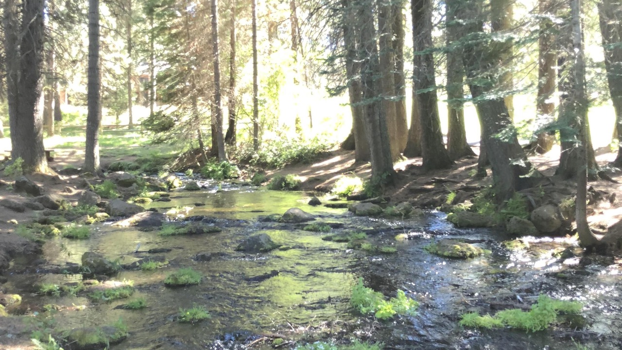 Photo of Others in Black Butte Ranch