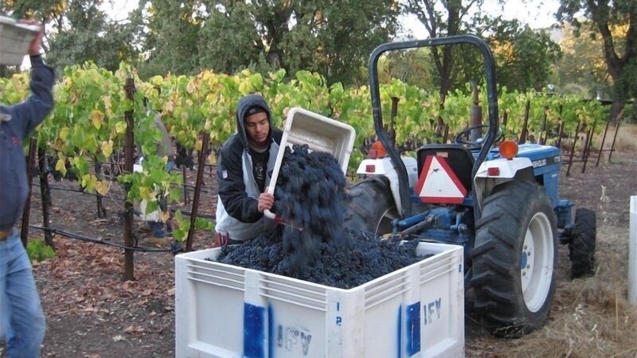 Photo of Others in Santa Rosa