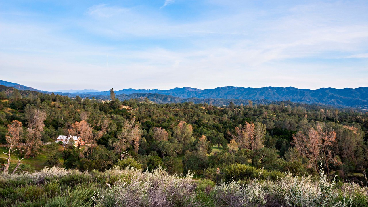 Photo of Others in San Luis Obispo