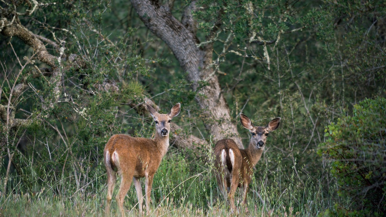 Photo of Others in San Luis Obispo