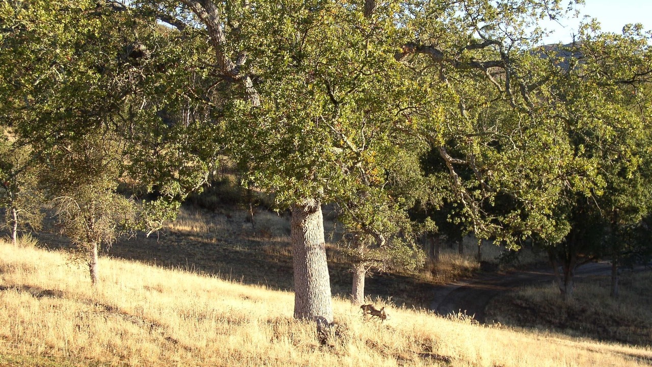 Photo of Others in San Luis Obispo