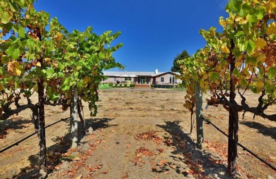 Photo of Outdoor in Napa