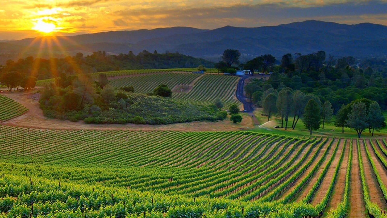 Photo of Others in Paso Robles