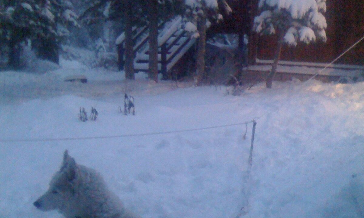 Photo of Outdoor in Alpine Meadows
