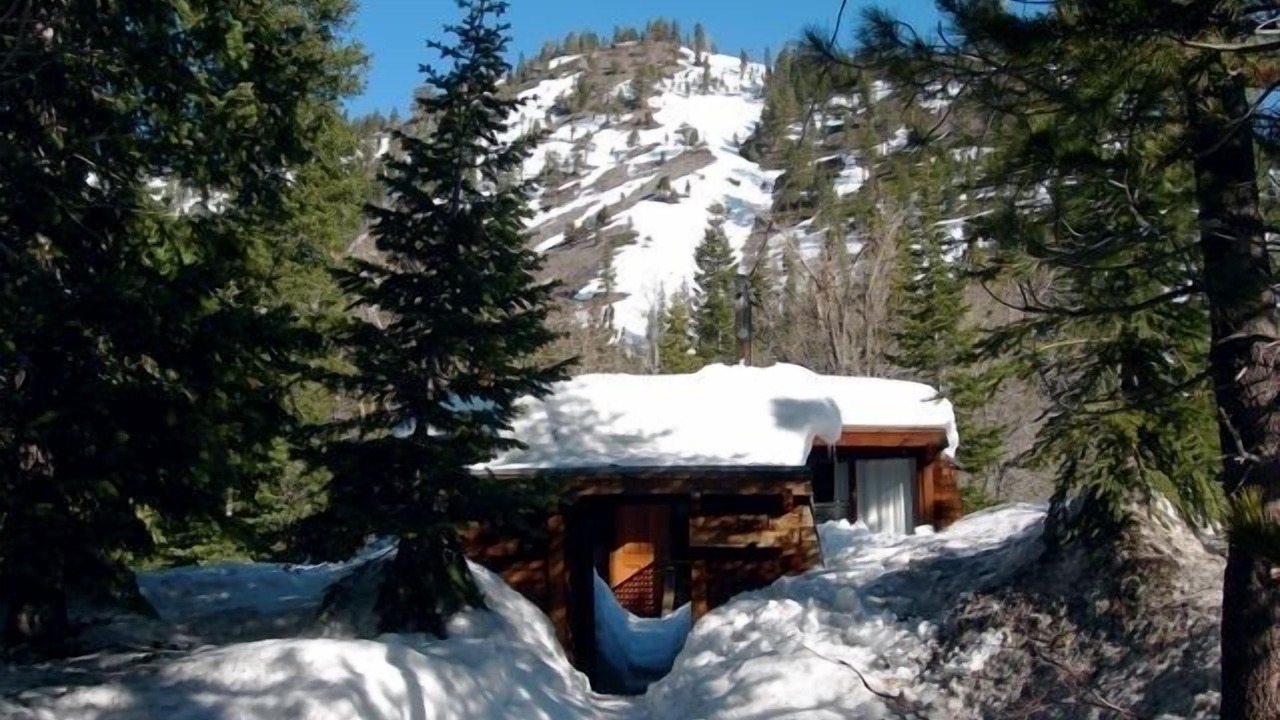 Photo of Others in Alpine Meadows