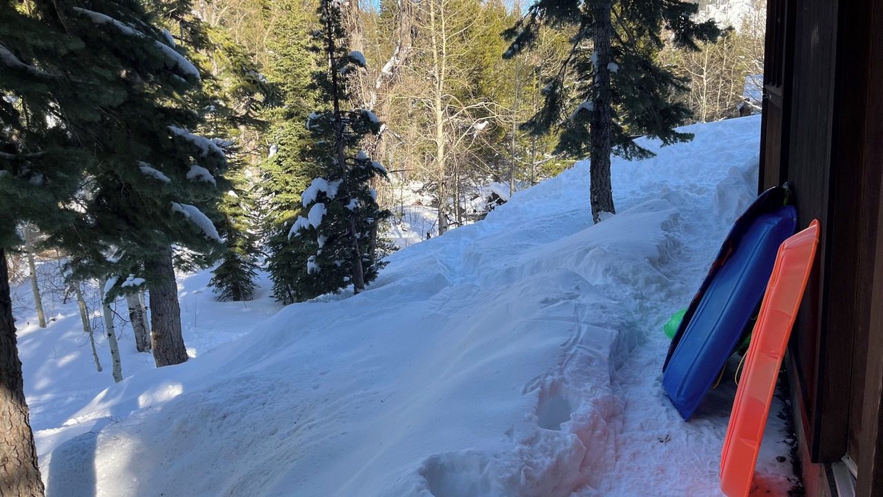 Photo of Others in Alpine Meadows