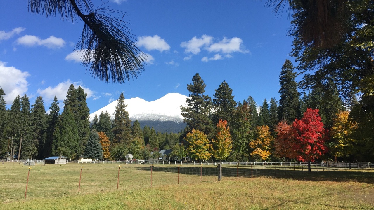 Photo of Others in Mount Shasta