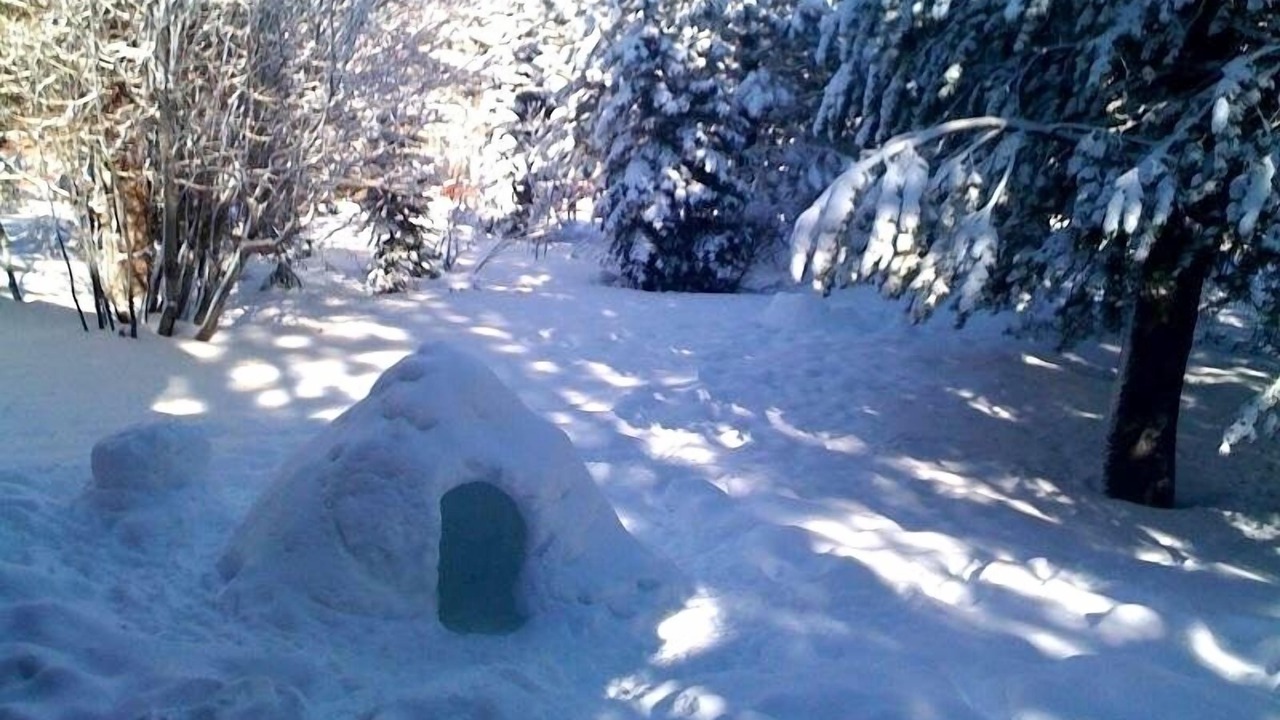 Photo of Others in Truckee