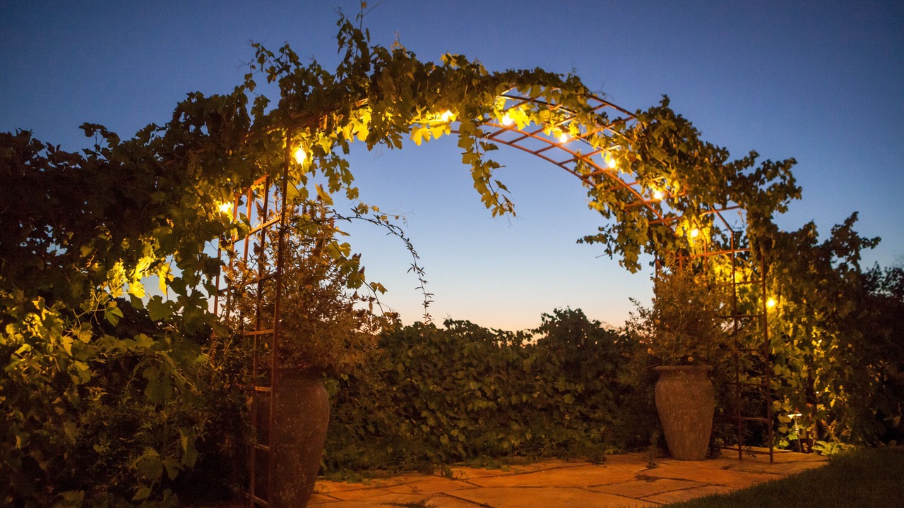Photo of Outdoor in Atascadero