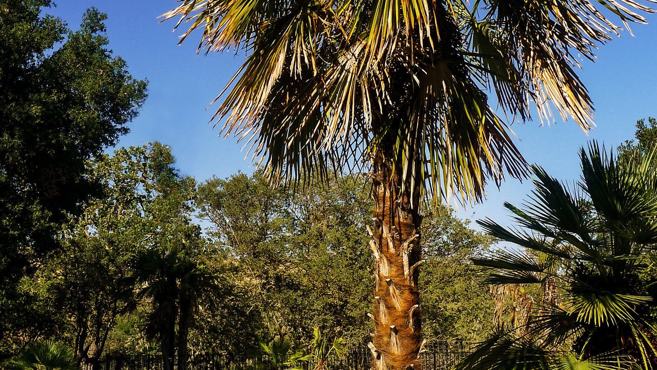 Photo of Outdoor in Atascadero