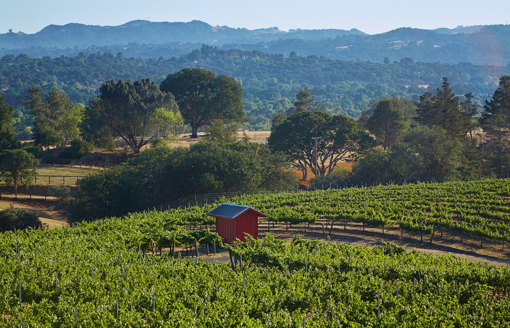 Photo of Others in Atascadero
