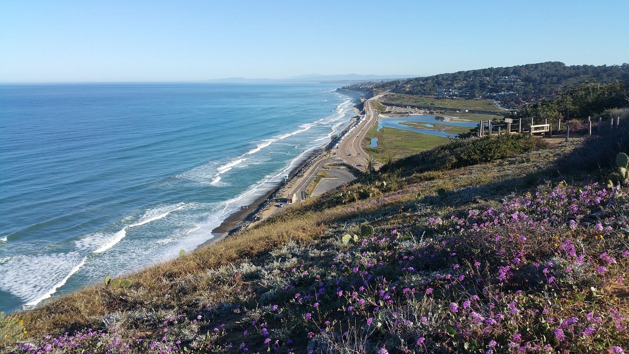 Photo of Others in Del Mar Heights