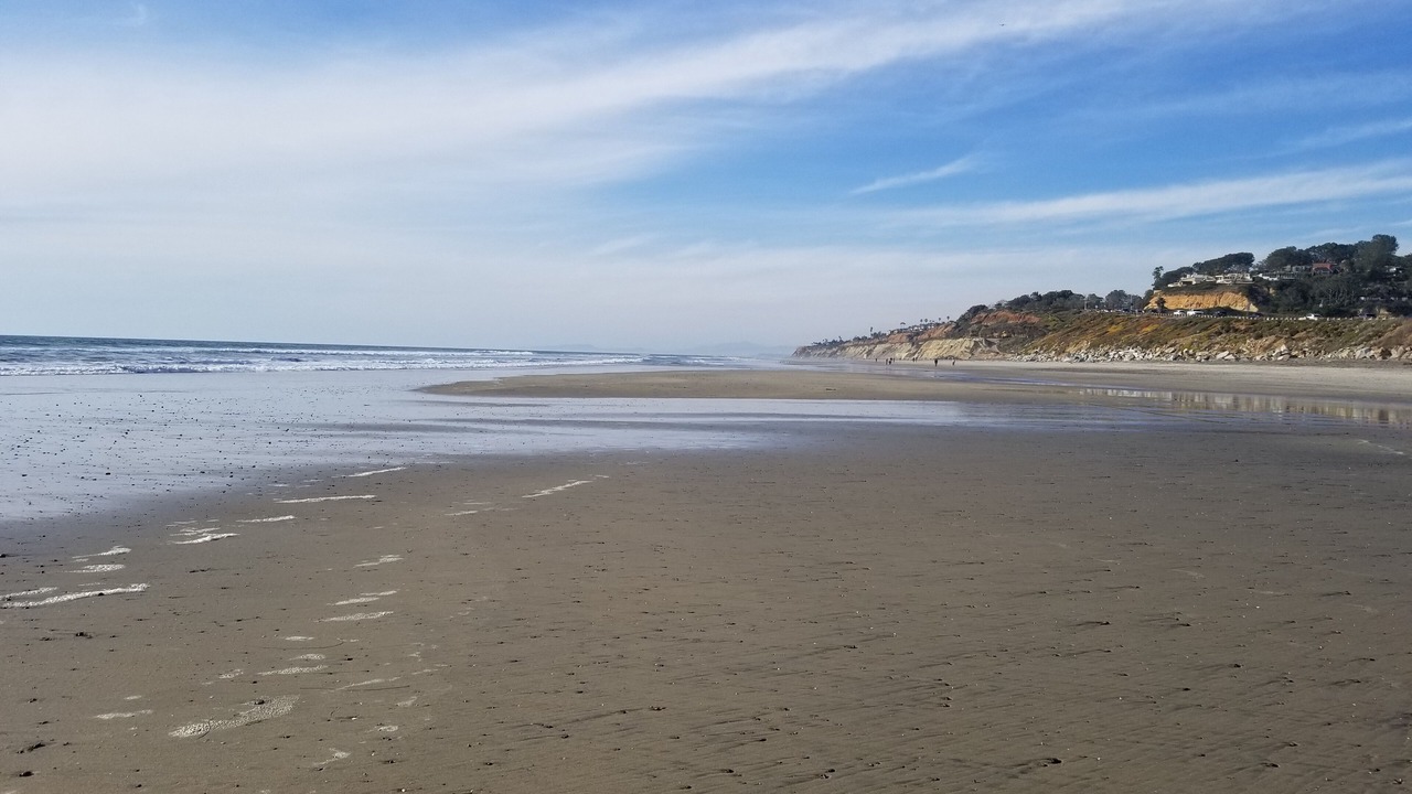 Photo of Others in Del Mar Heights