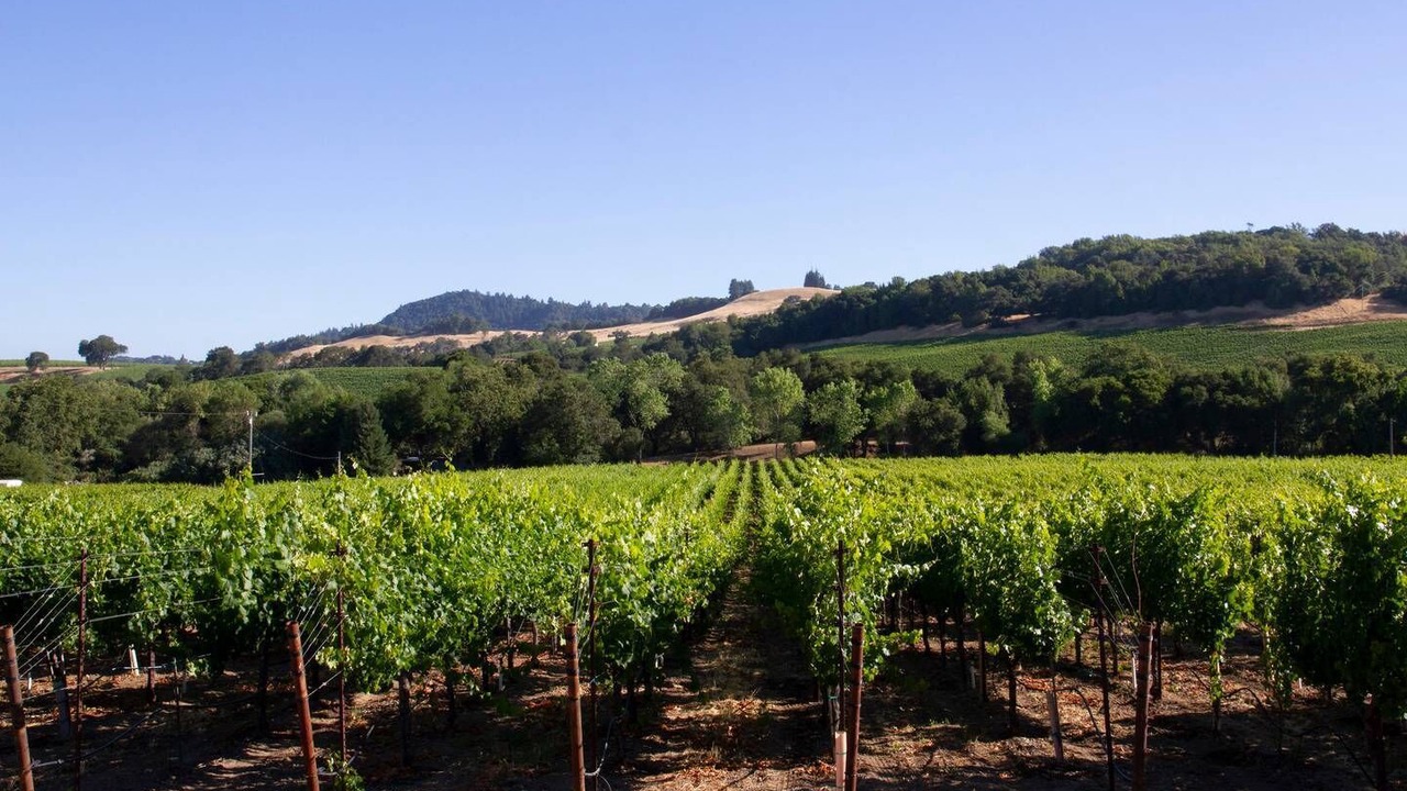 Photo of Others in Healdsburg