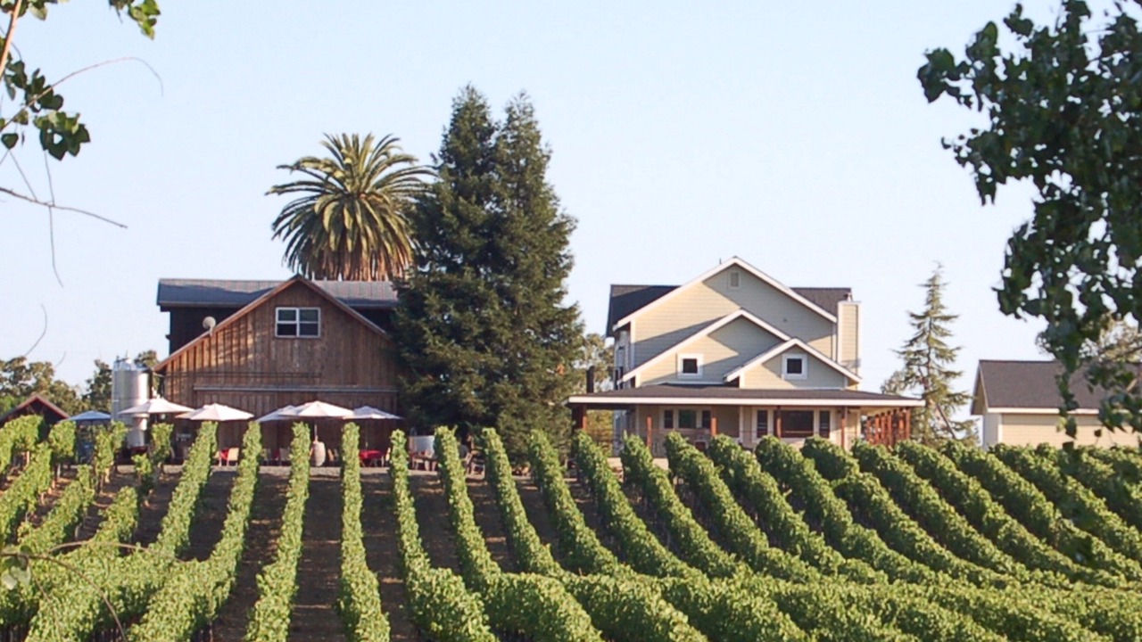 Photo of Others in Healdsburg