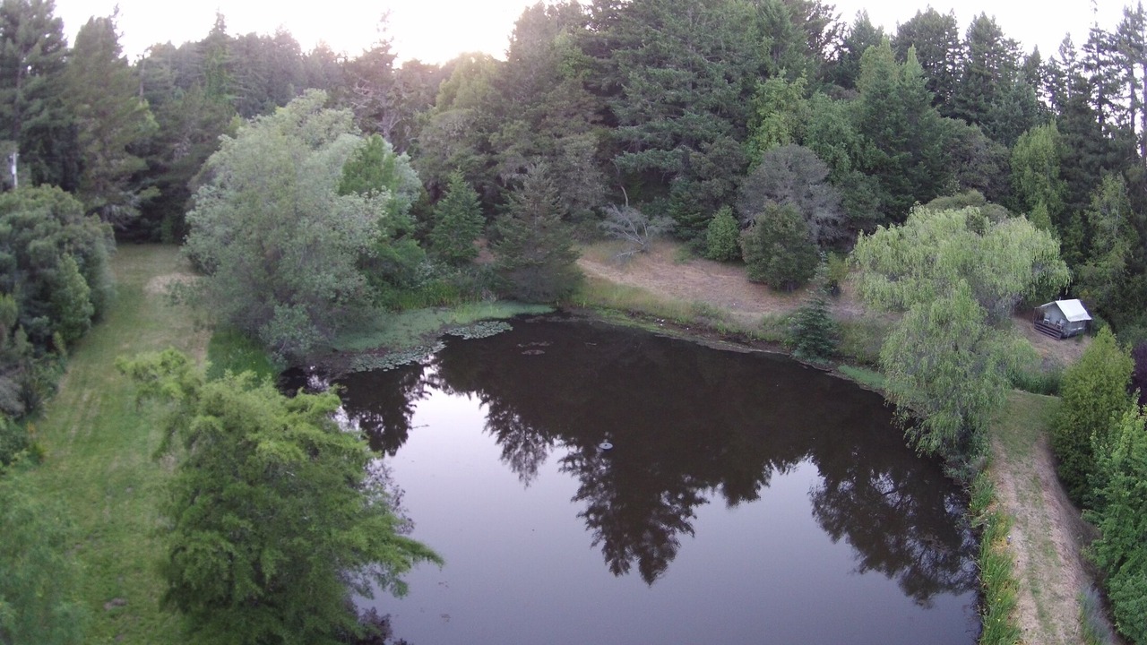 Photo of Others in Occidental