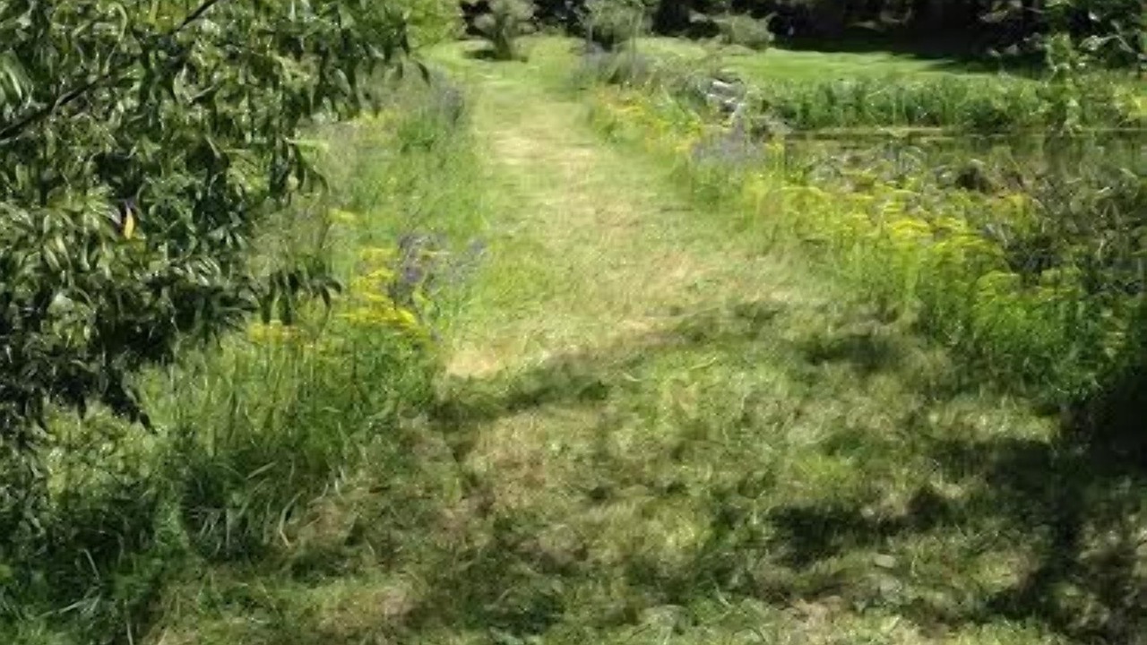 Photo of Outdoor in Occidental