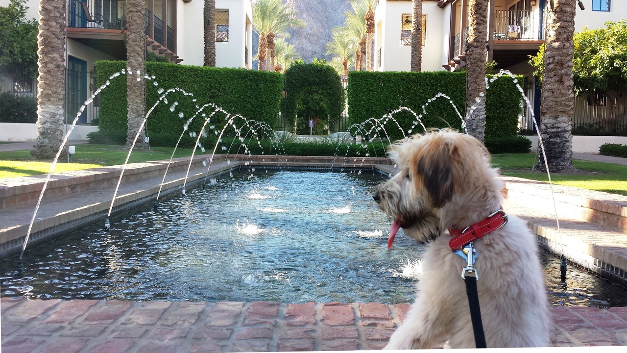 Photo of Outdoor in La Quinta