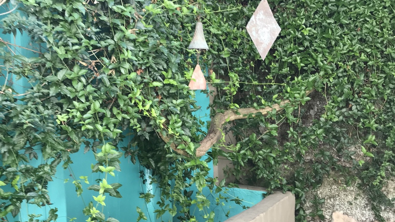 Photo of Outdoor in Glen Park