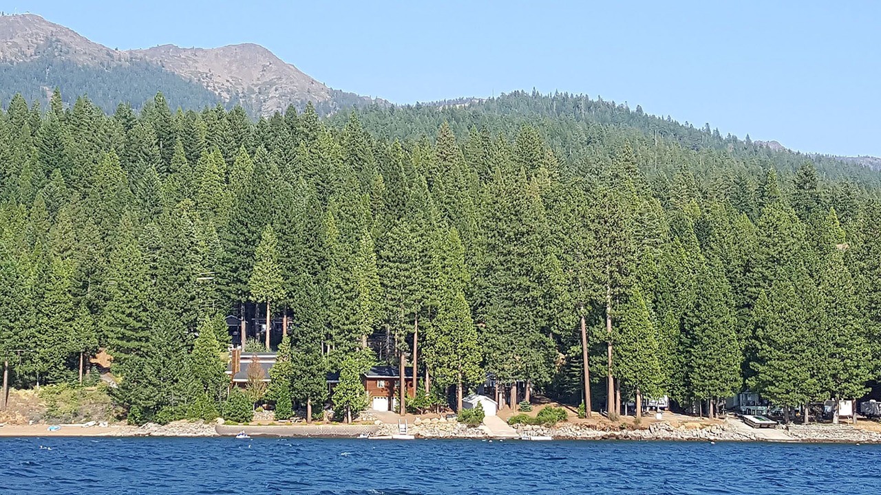 Photo of Outdoor in East Shore
