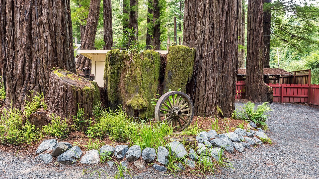 Photo of Outdoor in Cazadero