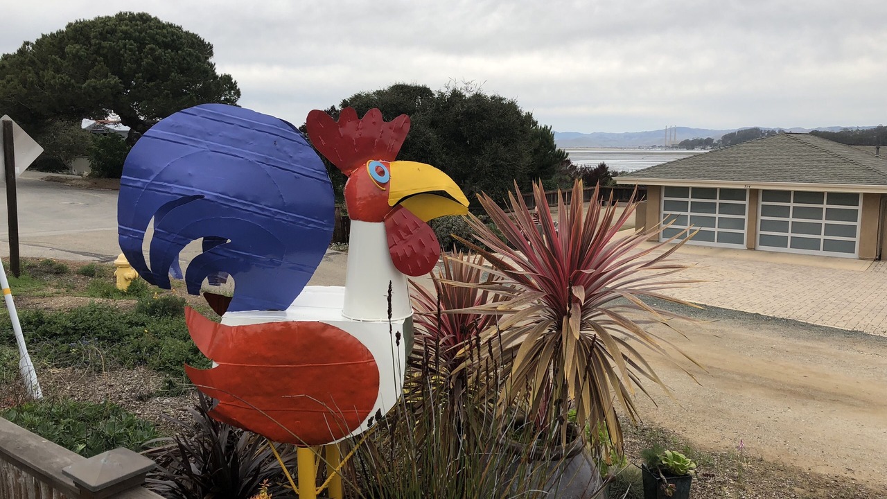 Photo of Outdoor in Baywood Park