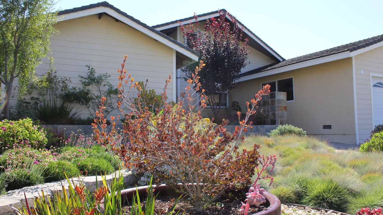 Photo of Others in Arroyo Grande