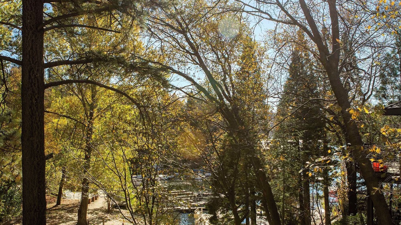 Photo of Others in Lake Arrowhead